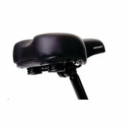 AVALANCHE E.Go E-Bike -Bikes Shop AEBEGO20 3