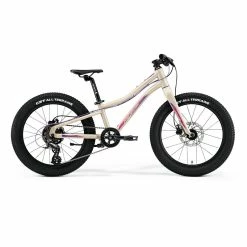 MERIDA Matts J.20+ (2021)