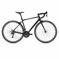 GIANT LIV GIANT Contend 1 (2022)