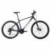 GIANT LIV GIANT Rincon 29er 2 (2022)