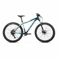 TITAN Rogue Calypso Ryde (2022)