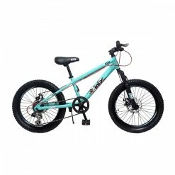 ZINI Seven-D 20" Boys (2021)