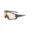 Darcs D'ARCS Vivid Eyewear