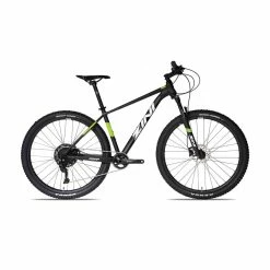 ZINI Z29 Comp (2022)